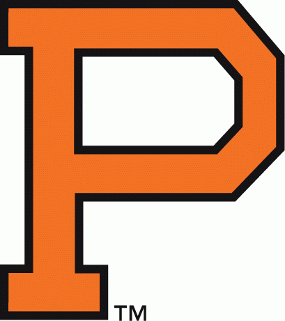 Princeton Tigers 1904-1964 Primary Logo diy fabric transfer
